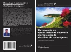 Bookcover of Metodología de optimización de enjambre múltiple para la clasificación de imágenes