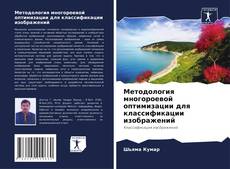 Capa do livro de Методология многороевой оптимизации для классификации изображений 