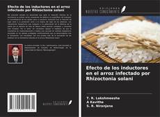 Copertina di Efecto de los inductores en el arroz infectado por Rhizoctonia solani