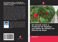 Capa do livro de Um Estudo sobre a Produção de Vegetais sob Redes de Sombra no Distrito de Kolar 