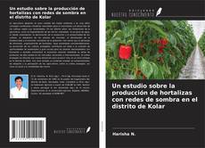 Portada del libro de Un estudio sobre la producción de hortalizas con redes de sombra en el distrito de Kolar