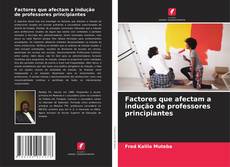 Capa do livro de Factores que afectam a indução de professores principiantes 