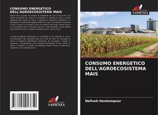 Capa do livro de CONSUMO ENERGETICO DELL'AGROECOSISTEMA MAIS 