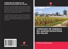 Capa do livro de CONSUMO DE ENERGIA DO AGROECOSSISTEMA DO MILHO 