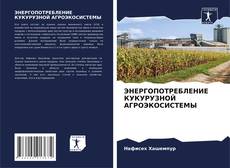 Copertina di ЭНЕРГОПОТРЕБЛЕНИЕ КУКУРУЗНОЙ АГРОЭКОСИСТЕМЫ