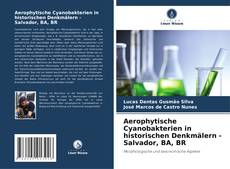 Buchcover von Aerophytische Cyanobakterien in historischen Denkmälern - Salvador, BA, BR