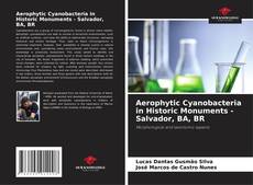 Bookcover of Aerophytic Cyanobacteria in Historic Monuments - Salvador, BA, BR