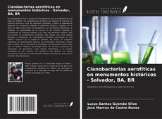 Capa do livro de Cianobacterias aerofíticas en monumentos históricos - Salvador, BA, BR 