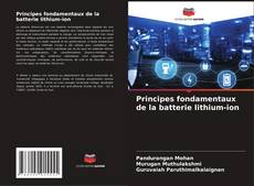 Capa do livro de Principes fondamentaux de la batterie lithium-ion 