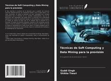 Capa do livro de Técnicas de Soft Computing y Data Mining para la previsión 