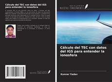 Capa do livro de Cálculo del TEC con datos del IGS para entender la ionosfera 