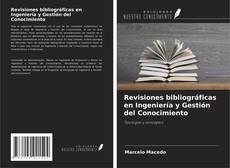 Buchcover von Revisiones bibliográficas en Ingeniería y Gestión del Conocimiento