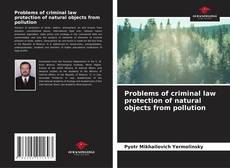Copertina di Problems of criminal law protection of natural objects from pollution