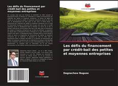 Bookcover of Les défis du financement par crédit-bail des petites et moyennes entreprises