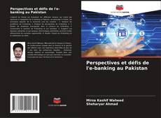 Perspectives et défis de l'e-banking au Pakistan kitap kapağı