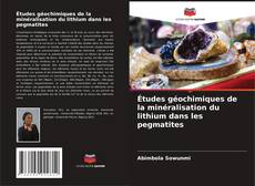 Buchcover von Études géochimiques de la minéralisation du lithium dans les pegmatites
