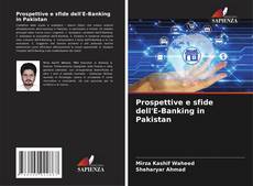Обложка Prospettive e sfide dell'E-Banking in Pakistan