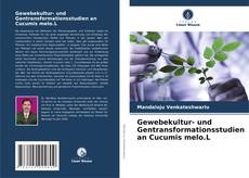Portada del libro de Gewebekultur- und Gentransformationsstudien an Cucumis melo.L