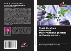 Copertina di Studi di coltura tissutale e trasformazione genetica su Cucumis melo.L