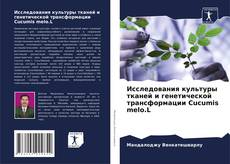 Buchcover von Исследования культуры тканей и генетической трансформации Cucumis melo.L