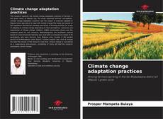 Buchcover von Climate change adaptation practices