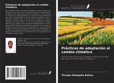 Buchcover von Prácticas de adaptación al cambio climático