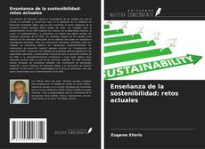 Bookcover of Enseñanza de la sostenibilidad: retos actuales
