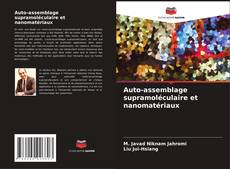 Bookcover of Auto-assemblage supramoléculaire et nanomatériaux