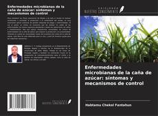 Buchcover von Enfermedades microbianas de la caña de azúcar: síntomas y mecanismos de control