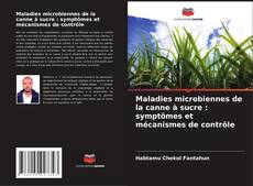Capa do livro de Maladies microbiennes de la canne à sucre : symptômes et mécanismes de contrôle 