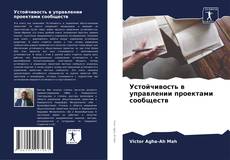 Buchcover von Устойчивость в управлении проектами сообществ