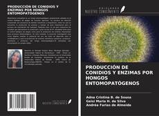 Bookcover of PRODUCCIÓN DE CONIDIOS Y ENZIMAS POR HONGOS ENTOMOPATÓGENOS