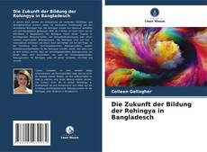 Buchcover von Die Zukunft der Bildung der Rohingya in Bangladesch