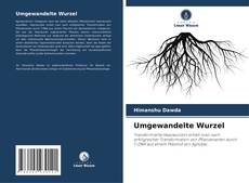 Buchcover von Umgewandelte Wurzel