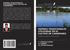Couverture de HIERBAS TRADICIONALES UTILIZADAS EN EL CULTIVO DE CAMARONES