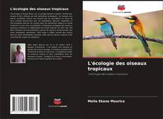 Couverture de L'écologie des oiseaux tropicaux