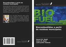 Bookcover of Biocombustibles a partir de residuos municipales