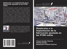 Capa do livro de Obstáculos a la implantación de la fabricación ajustada en las PYME indias 