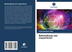 Portada del libro de Behandlung von Liquorlecks