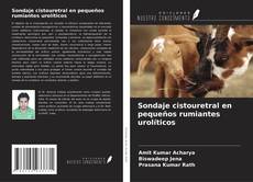 Bookcover of Sondaje cistouretral en pequeños rumiantes urolíticos