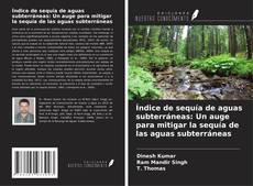 Bookcover of Índice de sequía de aguas subterráneas: Un auge para mitigar la sequía de las aguas subterráneas