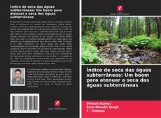Bookcover of Índice de seca das águas subterrâneas: Um boom para atenuar a seca das águas subterrâneas