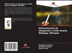 Обложка Déterminants du tabagisme à Gida Ayana, Wellega, Éthiopie