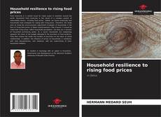Buchcover von Household resilience to rising food prices