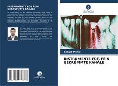 Bookcover of INSTRUMENTE FÜR FEIN GEKRÜMMTE KANÄLE