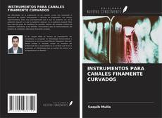 Buchcover von INSTRUMENTOS PARA CANALES FINAMENTE CURVADOS