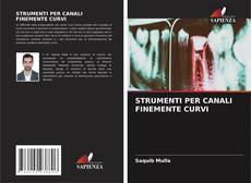 Capa do livro de STRUMENTI PER CANALI FINEMENTE CURVI 