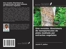 Buchcover von Una revisión: Biosíntesis de nanopartículas de plata mediada por extractos vegetales