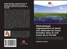 Couverture de Méthodologie réglementaire et perte non atténuée de zones humides dans le sud-ouest de la Floride