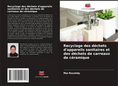 Capa do livro de Recyclage des déchets d'appareils sanitaires et des déchets de carreaux de céramique 